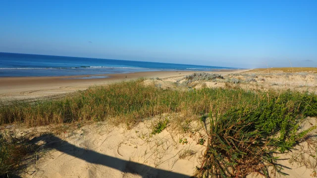 CÁMARA DIGITAL OLYMPUS