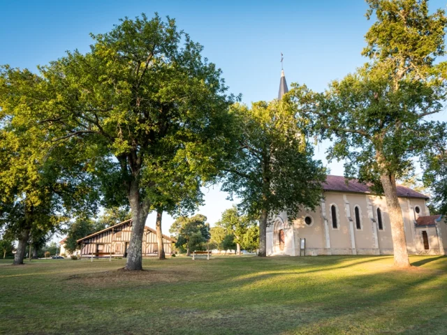Etang du bourg vieux in Bias