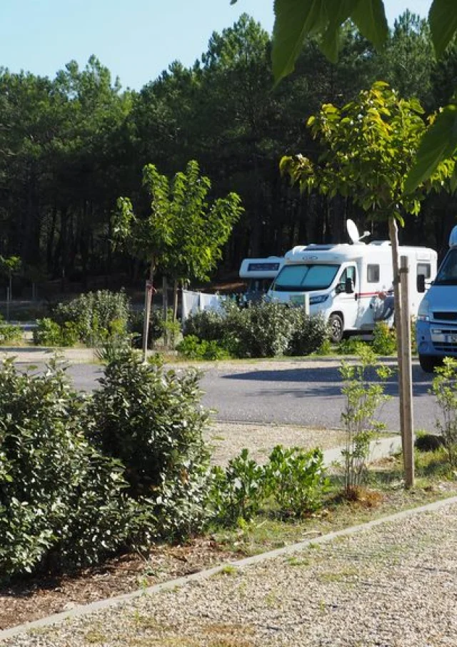 CÁMARA DIGITAL OLYMPUS