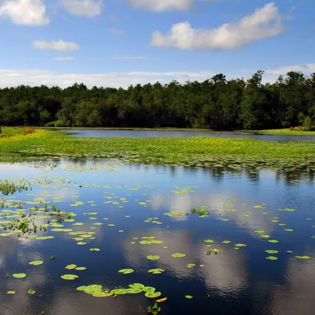 Sendero alrededor del lago - vista desde St Paul en Born