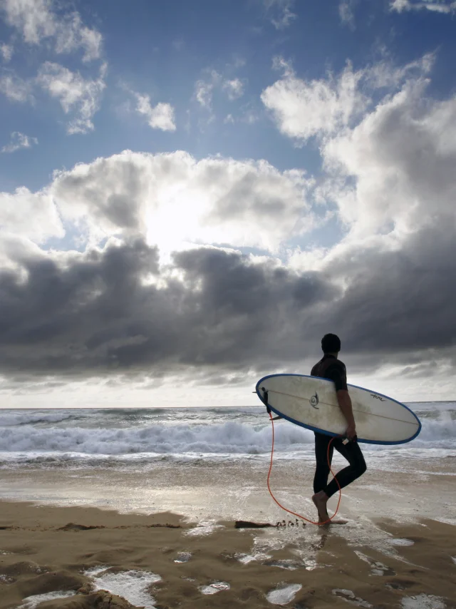 Arena Surf