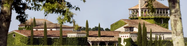 Bordeaux Und Weinberge