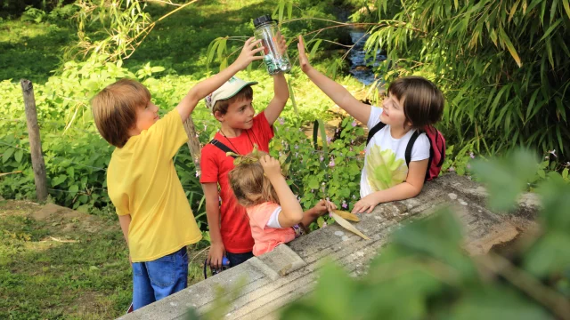 Terra aventura - Geocaching en Aureilhan y Pontenx les Forges