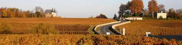 Pauillac Ot Bordeaux Kdt 33