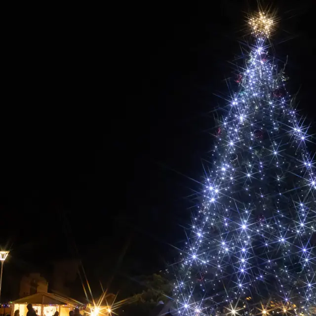 488909757 1091866762961414 1788560107340156924 N