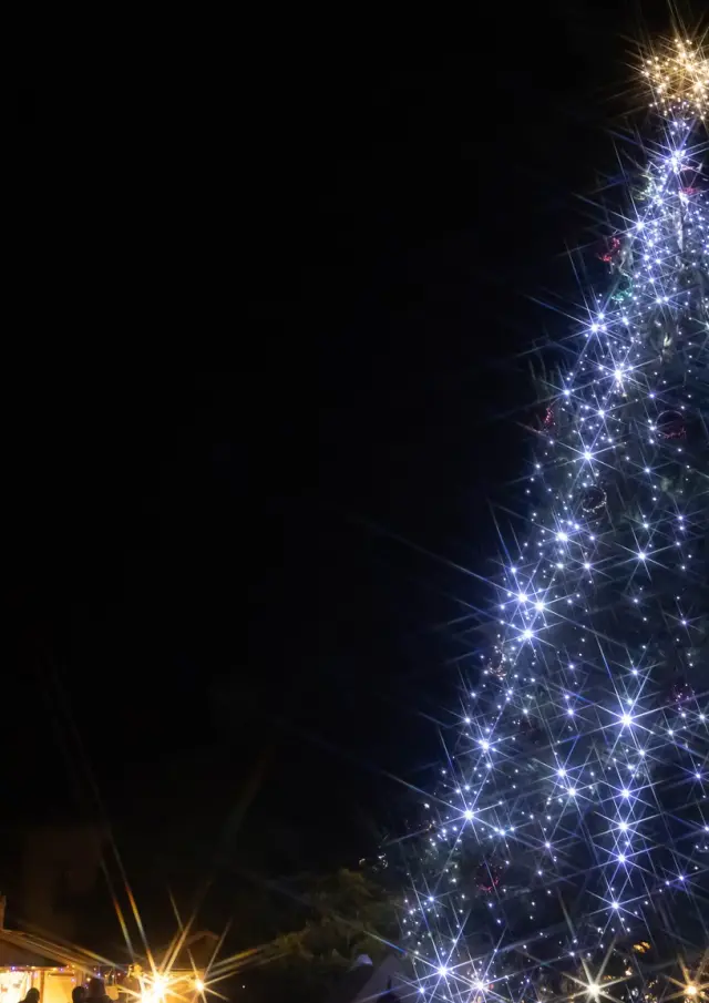 488909757 1091866762961414 1788560107340156924 N