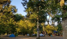 Camping Chez l'habitant - Aire Naturelle  en PONTENX-LES-FORGES