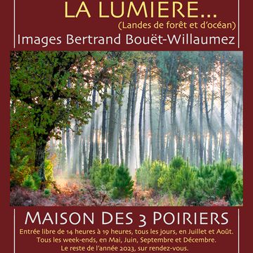 Maison des 3 Poiriers - Galerie de photographies de la forêt Landaise et de l’Océan.  in ONESSE-LAHARIE