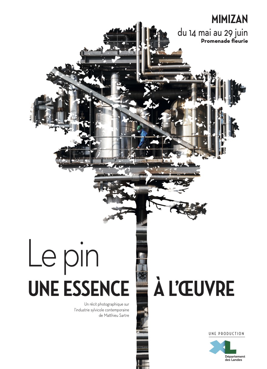 Expo "Le Pin une essence à l'oeuvre"
